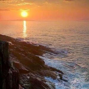 Meet your Posher, Charlene